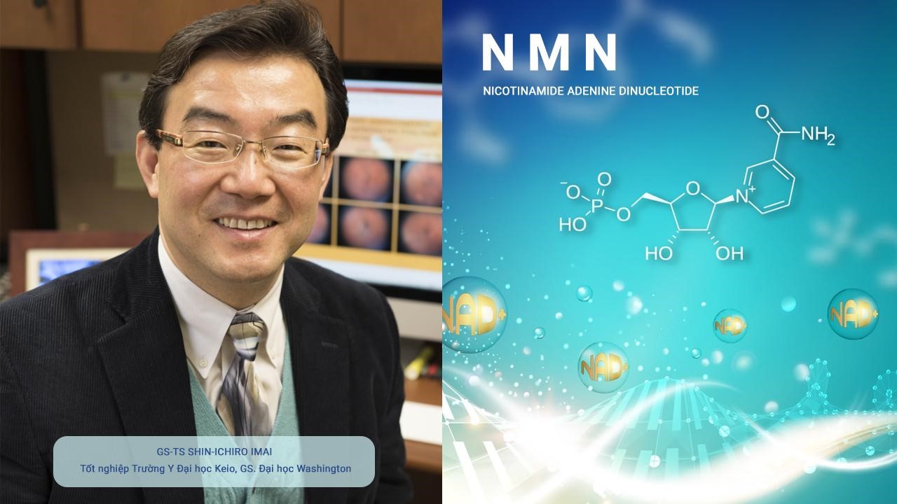 Giáo sư người Nhật - Shinichiro Imai là người đầu tiên nghiên cứu và phát hiện NMN 